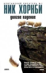 читать Долгое падение