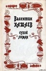 читать Юношеский роман