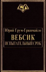 читать Вебсик. Испытательный срок