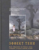 читать Эффект тени. Как обратить во благо силу темных сторон вашей души