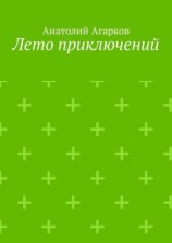 читать Лето приключений. Настоящий друг не позволит тебе совершать глупости в одиночку