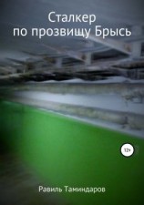 читать Сталкер по прозвищу Брысь