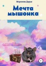 читать Мечта мышонка