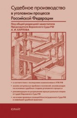 читать Судебное производство в уголовном процессе Российской Федерации