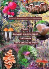 читать Грибы. Большая энциклопедия. 760 видов. Том II с 259 по 508