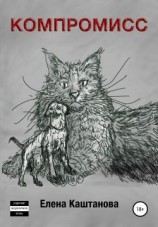 читать Компромисс