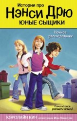 читать Ночное расследование