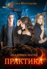 читать Практика. Книга 2