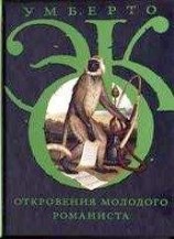 читать Откровения молодого романиста