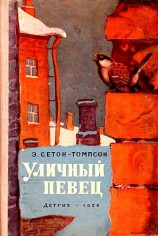 читать Уличный певец. Рассказы