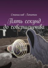 читать Пять секунд до совершенства