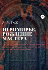 читать Игромирье. Рождение Мастера