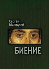читать Биение. Камни Митуту. Книга четвертая