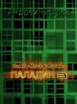читать Паладин 3