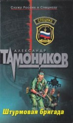 читать Штурмовая Бригада