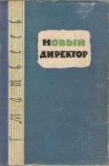 читать Новый директор