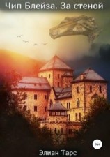 читать Чип Блейза 3. За стеной