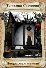 читать Дворцовая метла
