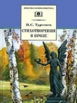 читать Стихотворения в прозе (Senilia)