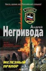читать Железный прапор