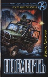 читать Насмерть