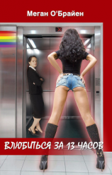 читать Влюбиться за 13 часов