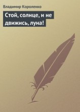 читать Стой, солнце, и не движись, луна!