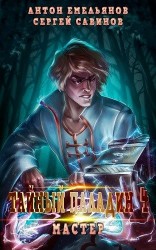 читать Тайный паладин 4. Мастер