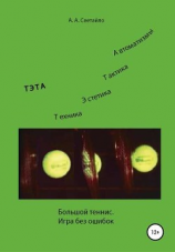 читать Большой теннис. Игра без ошибок