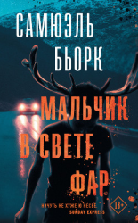 читать Мальчик в свете фар