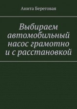 читать Выбираем автомобильный насос грамотно и с расстановкой