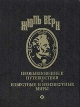 читать Безымянное семейство (с иллюстрациями)