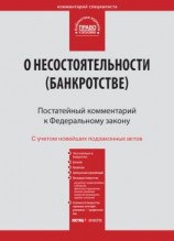 читать Комментарий к Федеральному закону от 26 октября 2002 г. 127-ФЗ «О несостоятельности (банкротстве)» (постатейный)