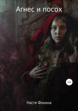 читать Агнес и посох. Вбоквелл к роману «Город магов»
