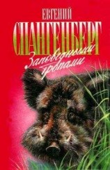 читать Как я прыгал с парашютом