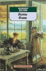 читать Флаш