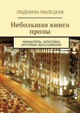 читать Небольшая книга прозы. Миниатюры, зарисовки, интервью, высказывания