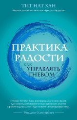 читать Практика радости. Как управлять гневом