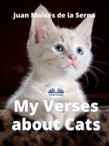 читать My Verses About Cats