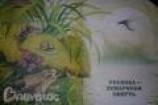 читать Росянка - Комариная Смерть