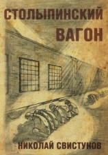 читать Столыпинский вагон, или Тюремные приключения мэра