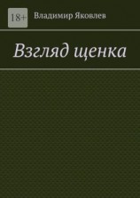 читать Взгляд щенка