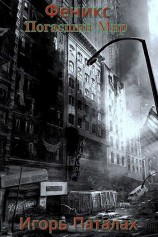 читать Погасший Мир