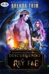 читать Descubriendo Al Rey Fae