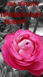 читать Правильный выбор