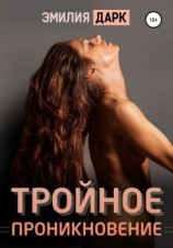 читать Тройное проникновение