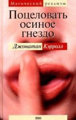 читать Поцеловать осиное гнездо