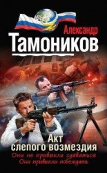 читать Акт слепого возмездия