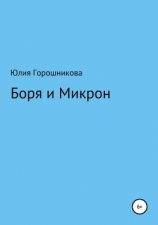 читать Боря и Микрон