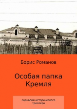 читать Особая папка Кремля